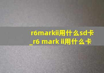 r6markii用什么sd卡_r6 mark ii用什么卡